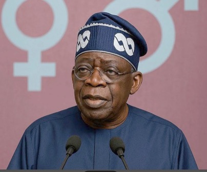 Dike: No Propaganda Will Hinder Tinubu's 2027 Re-election