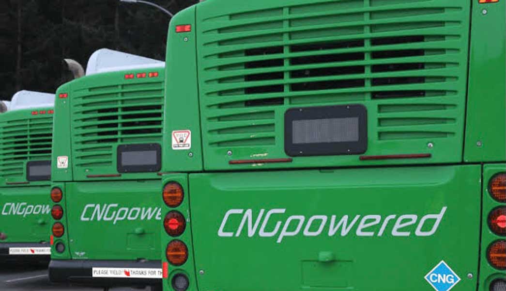 Niger Police Arrest Vandal for CNG Bus Damage in Minna