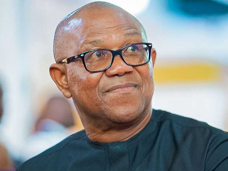 Peter Obi Questions ₦3.3 Trillion Power Debt Approval