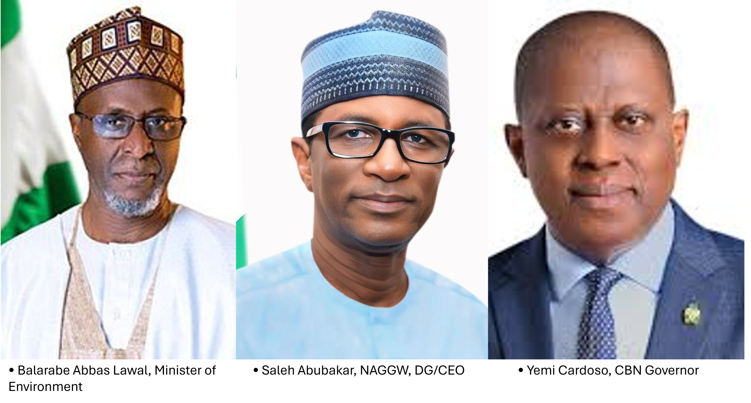 Nigerian House Probes Great Green Wall Agency's Finances