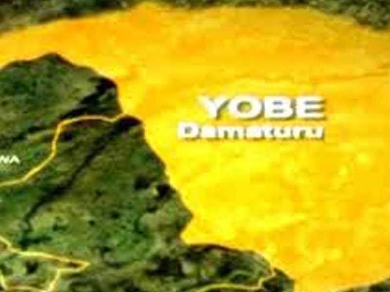 Youth Group Advocates for Yobe Governorship Ticket Zoning