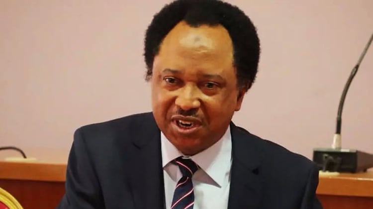 Shehu Sani Supports Passport Withdrawal for Renouncers