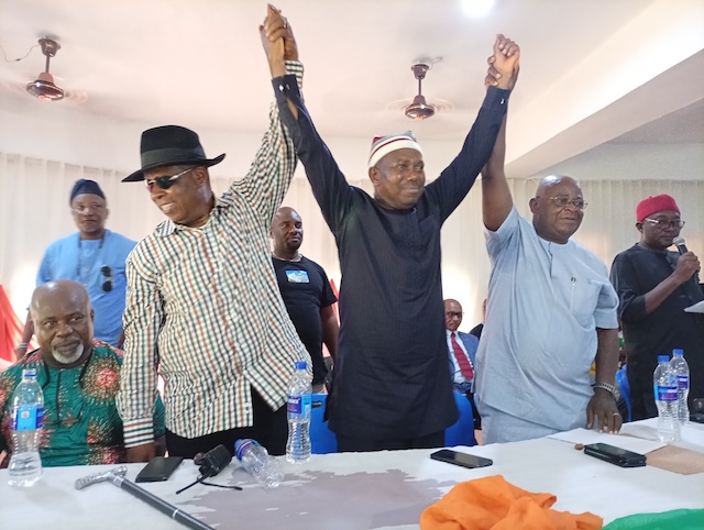 ADC Holds Congresses in Ogun and Abia, Produces Rival Chairmen