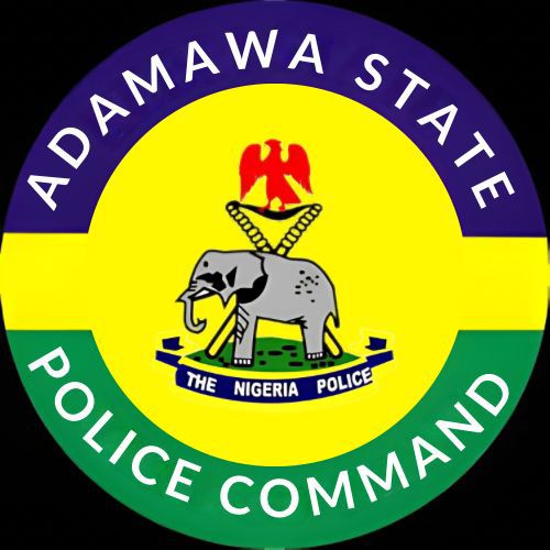 Police Arrest Two Suspects in Adamawa Stabbing Death
