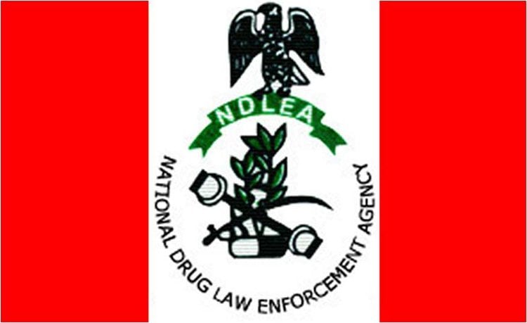 NDLEA Arrests Ivorian and Nigerian Doctor for Drug Trafficking