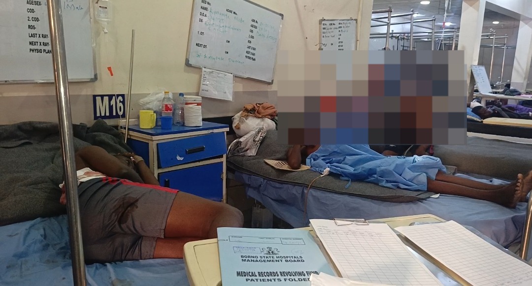 Urgent Blood Appeal After Borno Airstrike Claims Lives