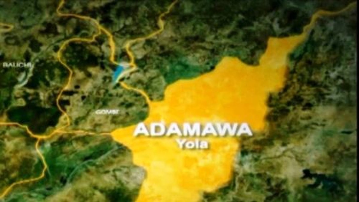 Two Arrested for Stabbing Death at Adamawa Birthday Party