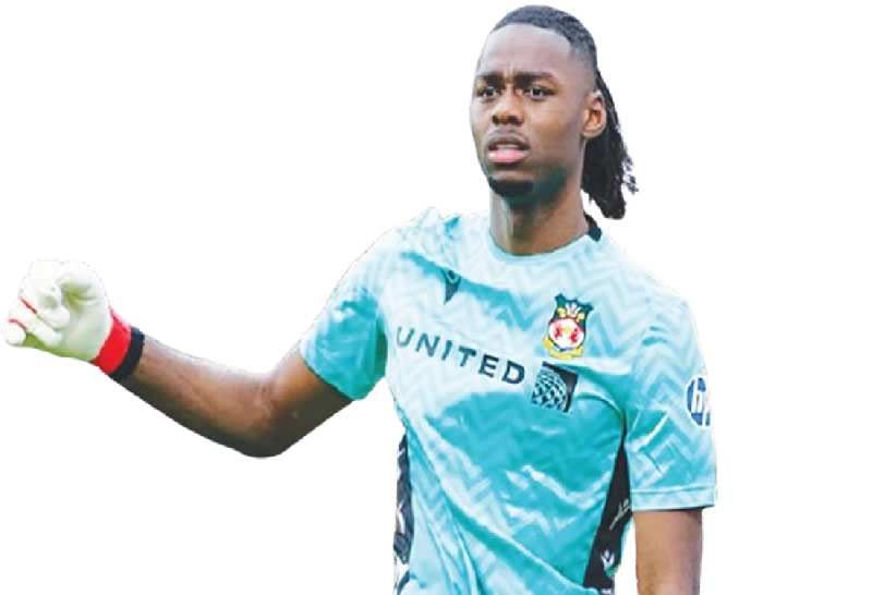 Okonkwo Cites Van der Sar as Key Influence in Career