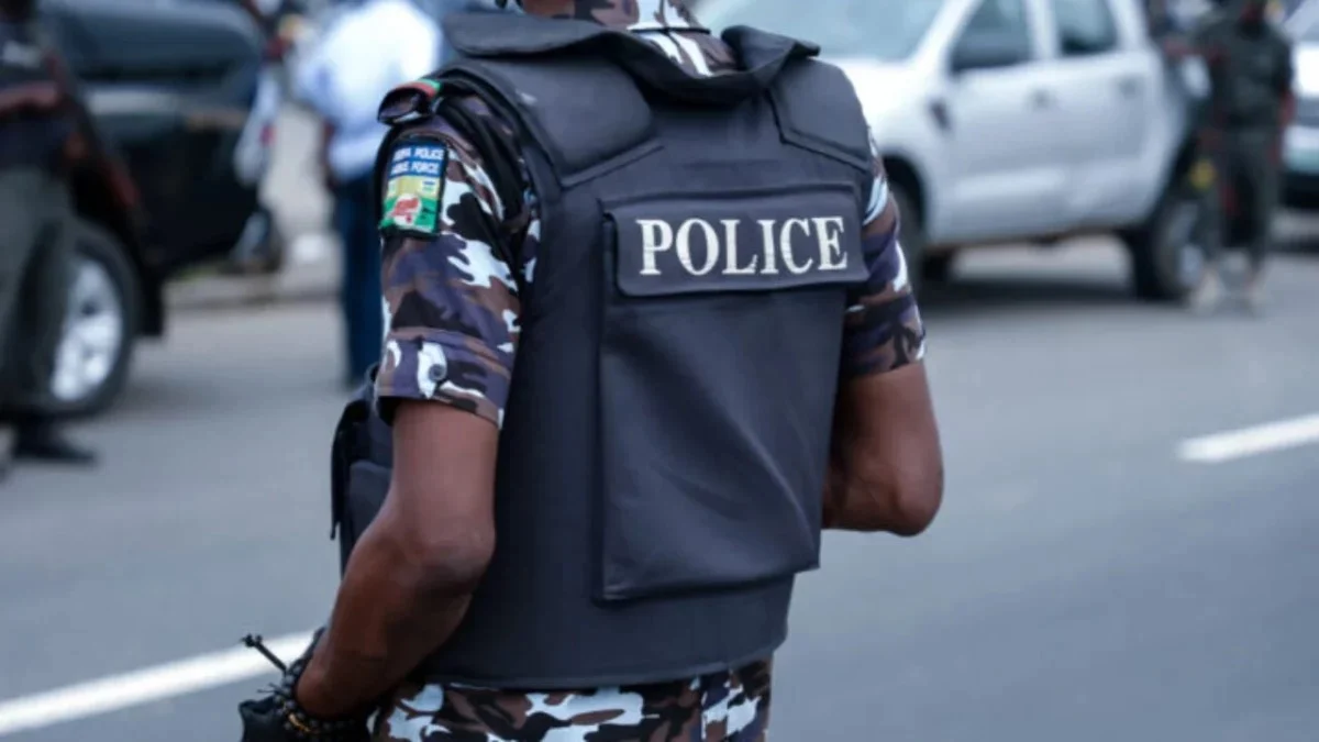 Kano Fake Herbal Medicine Arrests