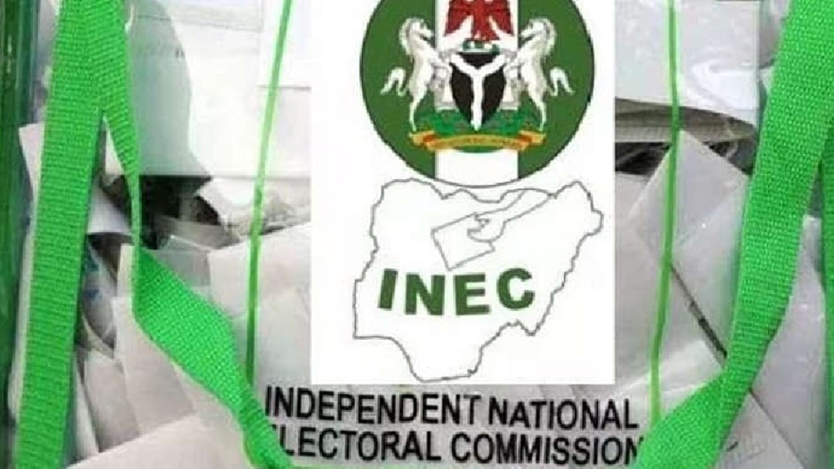 Ogun State PDP Candidates List Issues