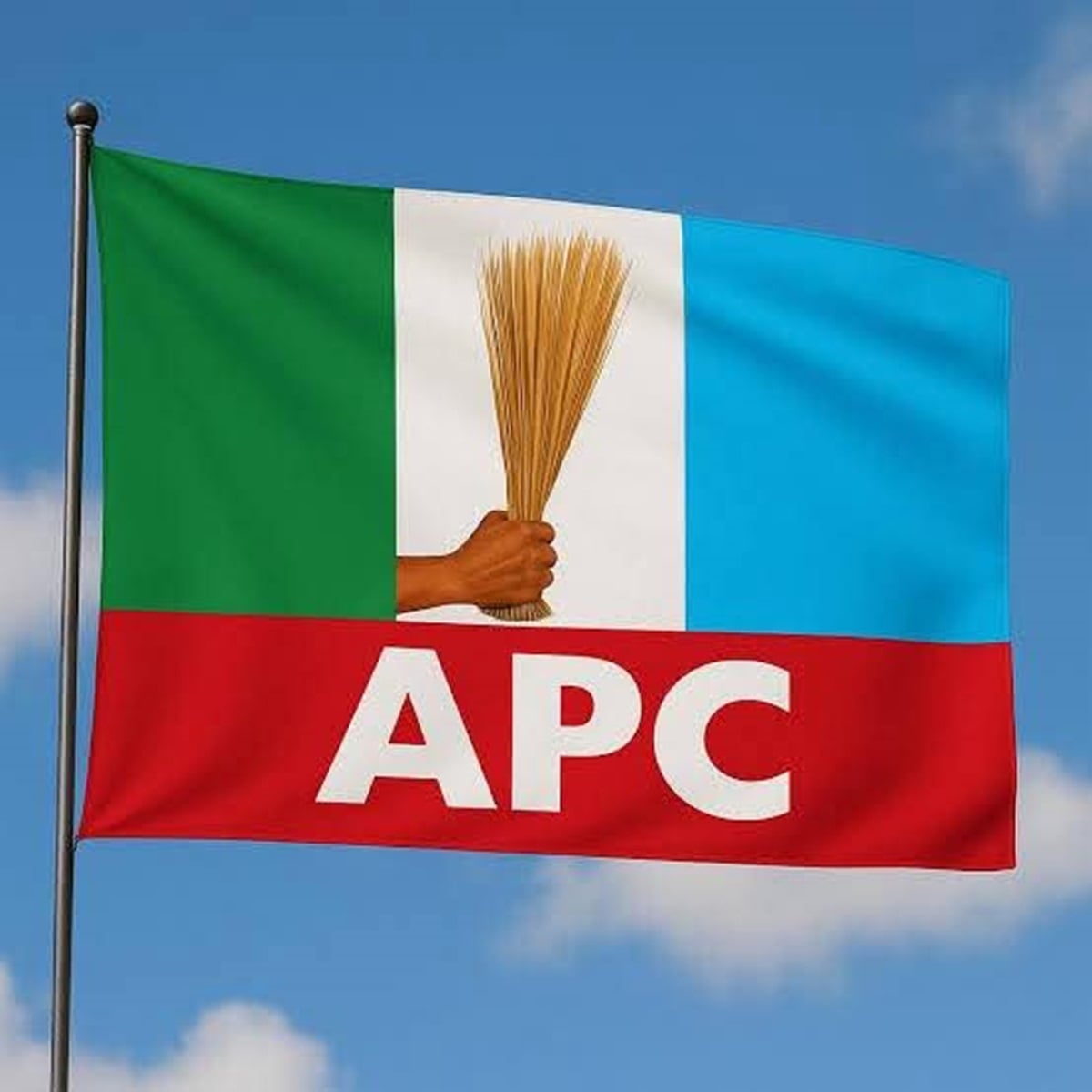 Vincent Court Ruling APC Primary