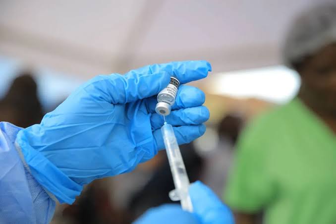 France Shamonda Virus Human Case