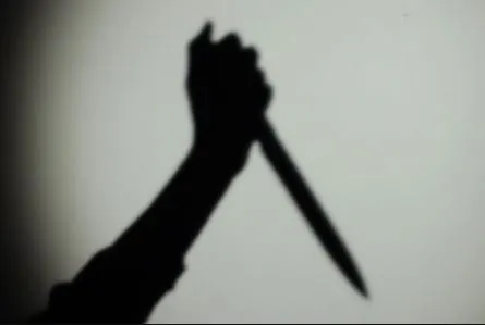 Ogun State Butcher Stabbing Incident