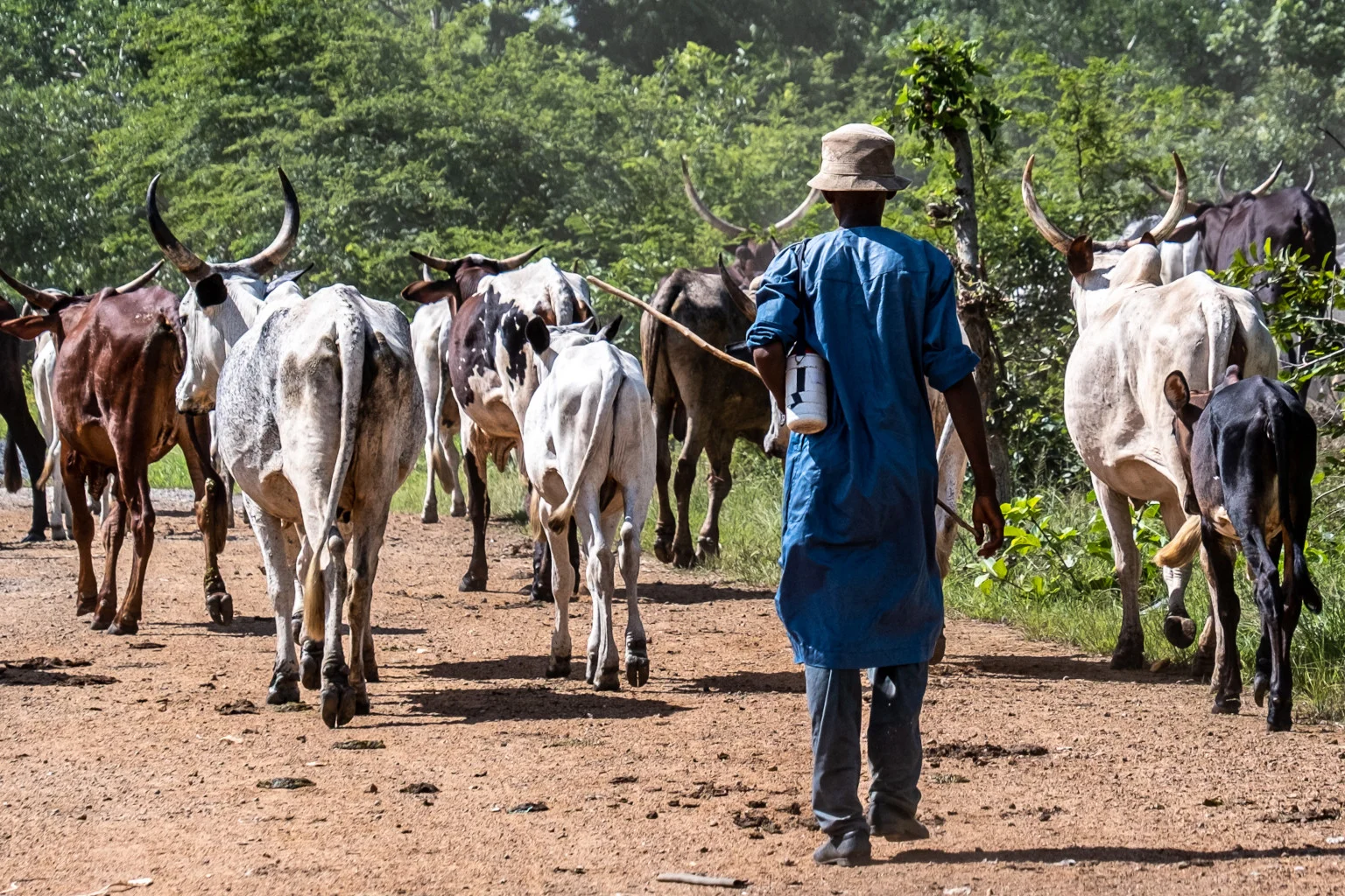 Fulani Leaders